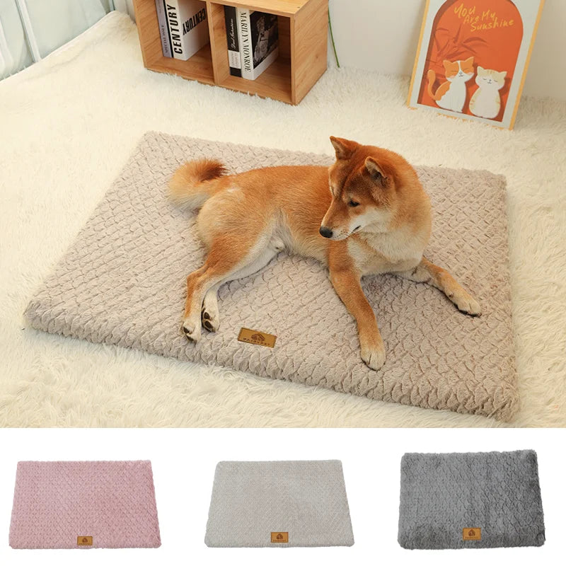 Shiba Inu lying on a beige orthopedic memory foam dog bed with faux fur cover, shown in three color options for different room styles